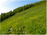 Bistriška planina - Koča na Dobrči